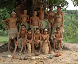 A Tradicional Família Brasileira Katu