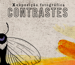 X EXPOSIÇÃO FOTOGRÁFICA CONTRASTES – GÊNERO, TEMPOS, LUGARES, OLHARES ABRE INSCRIÇÕES